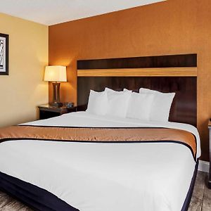 King Room Mobility accessible
